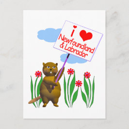 Cartão Postal Castor Canadense Ama Terra Nova e Labrador