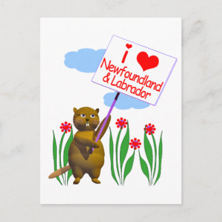 Cartão Postal Castor Canadense Ama Terra Nova e Labrador