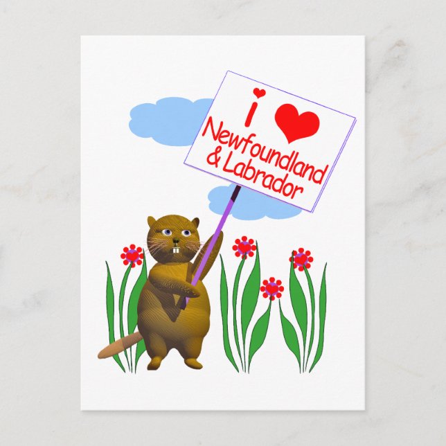 Cartão Postal Castor Canadense Ama Terra Nova e Labrador (Frente)