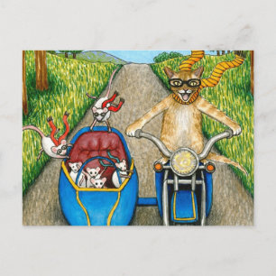 Cartão Postal Cat 384