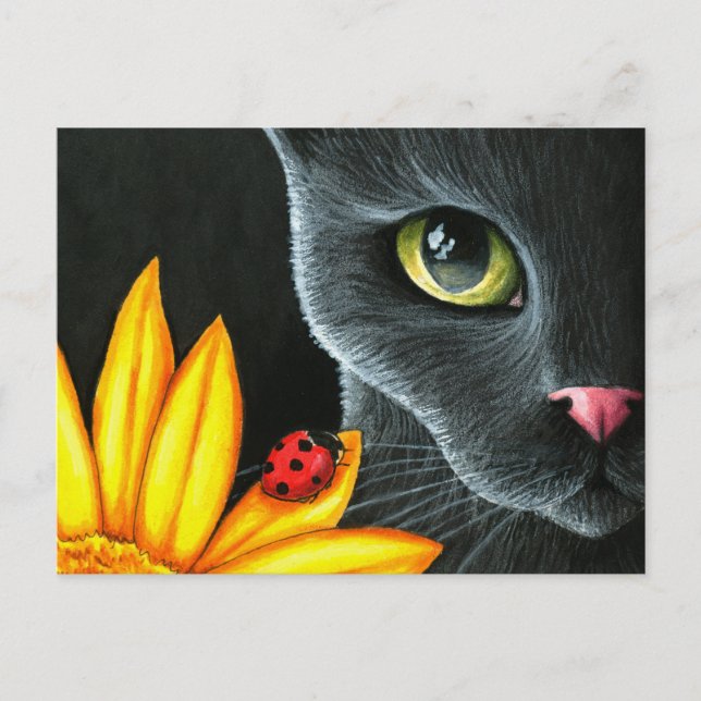 Cartão Postal Cat 510 (Frente)