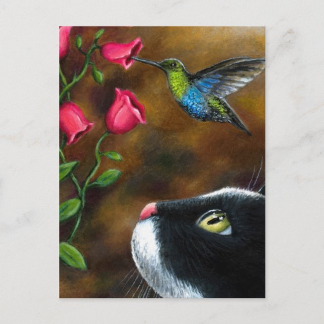 Cartão Postal Cat 571 Tuxedo com Hummingbird (Frente)