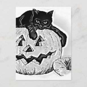 Cartão Postal Cat Black Orange Pumpkin Halloween