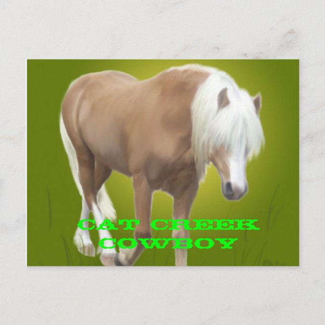 Cartão Postal Cat Creek Cowboy PC (Frente)