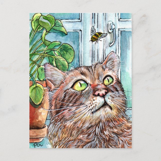 Cartão Postal Cat e a abelha (Frente)