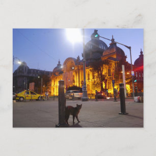 Cartão Postal Cat em Bucareste, Romênia