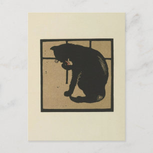 Cartão Postal Cat - Ilustração de Animais Quadrados