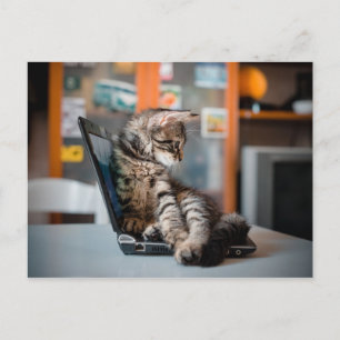 Cartão Postal Cat Lying on Notebook