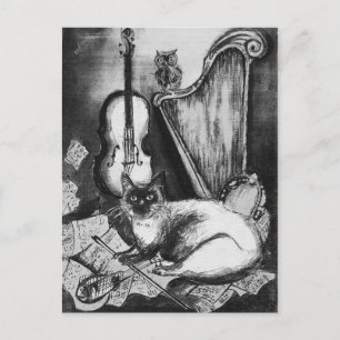 Cartão Postal CAT MUSICAL,OWL,VIOLIN,HARP Black White Cinza Musi
