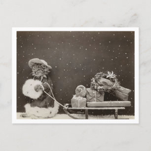 Cartão Postal Cat Natal Comprando Vintage Preto e Branco