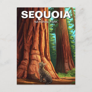 Cartão Postal Cat no Parque Nacional de Sequoia, Califórnia
