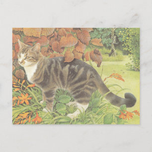CARTÃO POSTAL CAT PAINTED POSTCARD