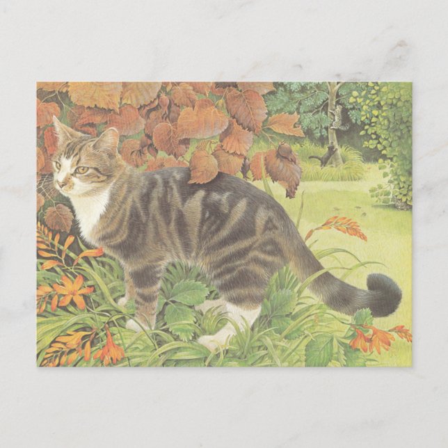 CARTÃO POSTAL CAT PAINTED POSTCARD (Frente)