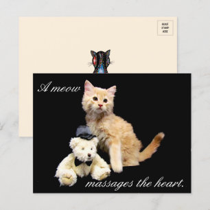 Cartão Postal Cat Pic - Sundrop e Teddy Bear