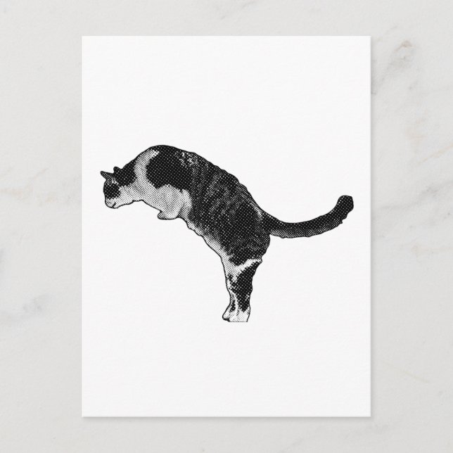 Cartão Postal Cat Pose Joy (Frente)