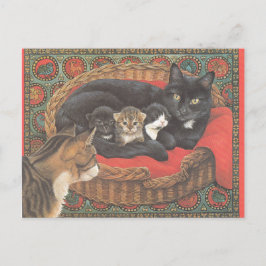 Cartão Postal Cat Postcards