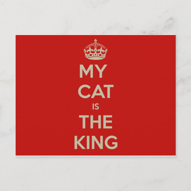 Cartão Postal Cat Qoute (Frente)