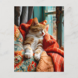 Cartão Postal Cat Sleeping by Window with Pillow and Blanket