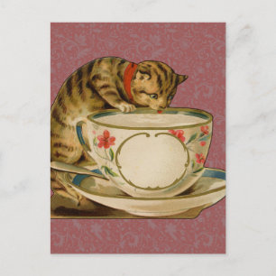 Cartão Postal Cat Teacup Cute Vintage Victorian