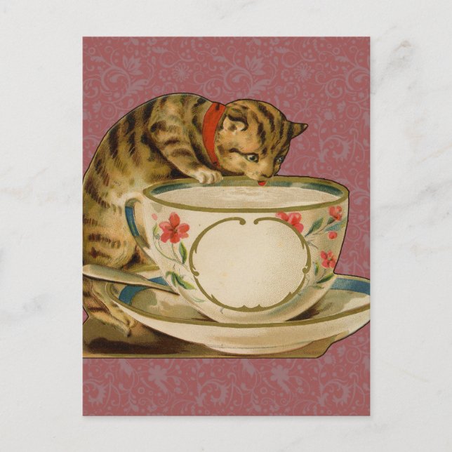 Cartão Postal Cat Teacup Cute Vintage Victorian (Frente)