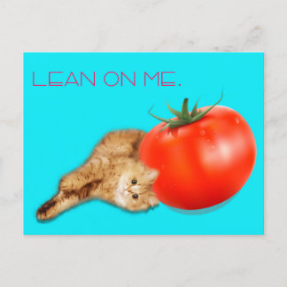 Cartão Postal Cat & Tomato Postcard / 猫&トマト ポストカード