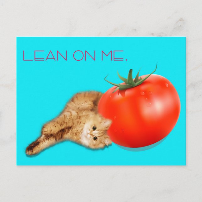 Cartão Postal Cat & Tomato Postcard /　猫＆トマト　ポストカード (Frente)
