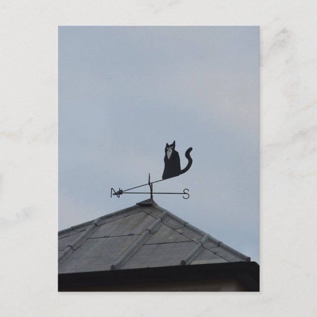 Cartão Postal Cata-Vento Gato Preto (Frente)