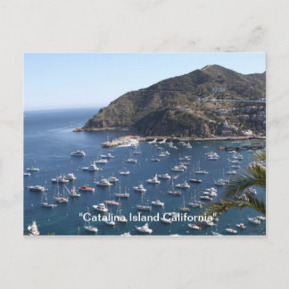 Cartão Postal , "Catalina Island California"