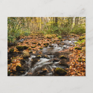 Cartão Postal Cataloochee Creek NC Grandes Montanhas Fumosas