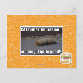 Cartão Postal CATapillar