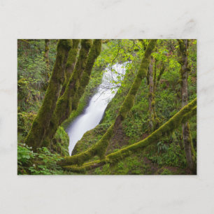 Cartão Postal Cataratas Bridal Veil