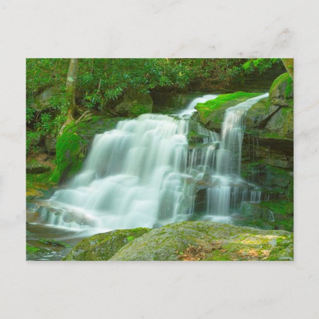 Cartão Postal Cataratas Elakala #2, Virgínia Ocidental (Frente)