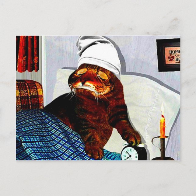 Cartão Postal CATaTUDEs (Frente)