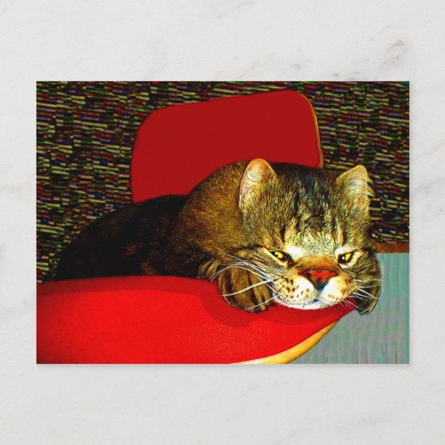 Cartão Postal CATaTUDEs (Frente)