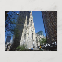 catedral de patricos