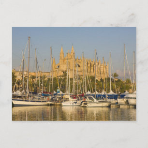 Cartão Postal Catedral e marina, Palma, Mallorca, Espanha 2