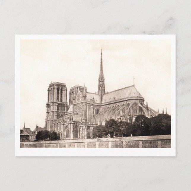 Cartão Postal Cathedral Notre Dame Postcard (Frente)
