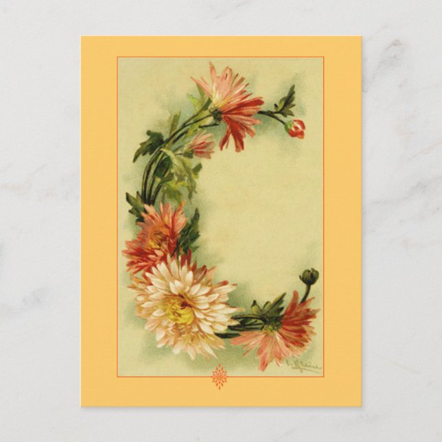 Cartão Postal Catherine Klein Flower Alphabet C Chrysanthemum (Frente)