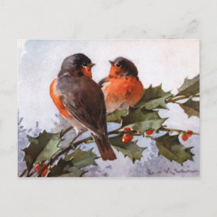 Cartão Postal Catherine Klein: Robins na Holly