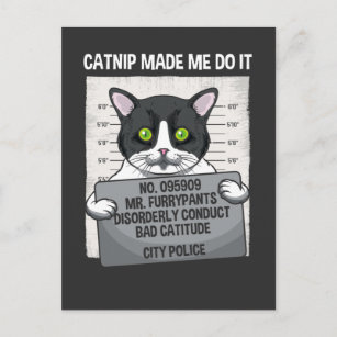 Cartão Postal Catnip Me Fez Fazer Isso Engraçado Gato Preso Poli