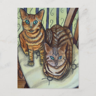 Cartão Postal Cats da Casa