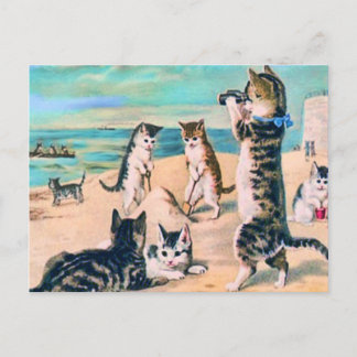 Cartão Postal Cats de Praia