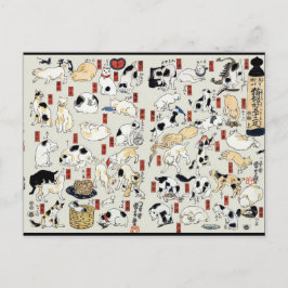 Cartão Postal Cats Galore