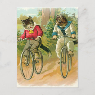 Cartão Postal Cats Riding Bikes