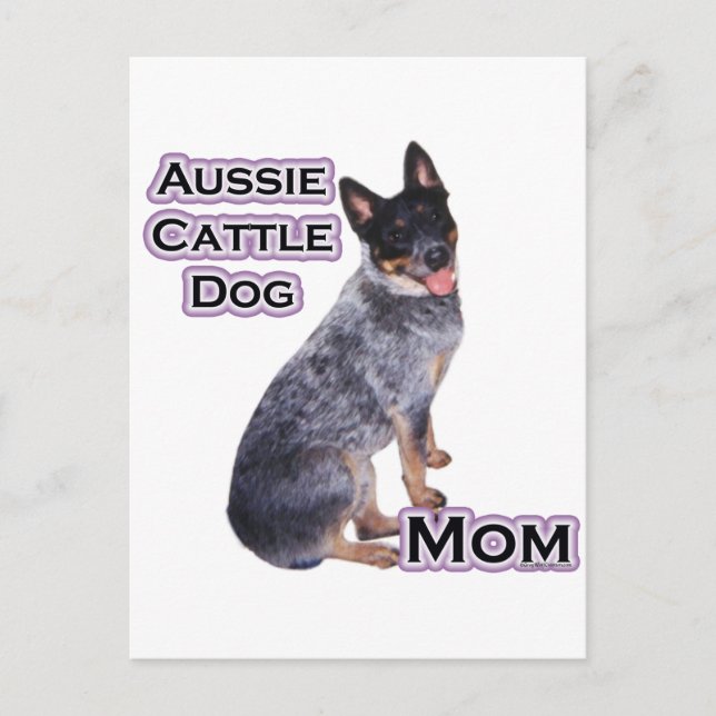 Cartão Postal Cattle Mães 4 australianos (Frente)