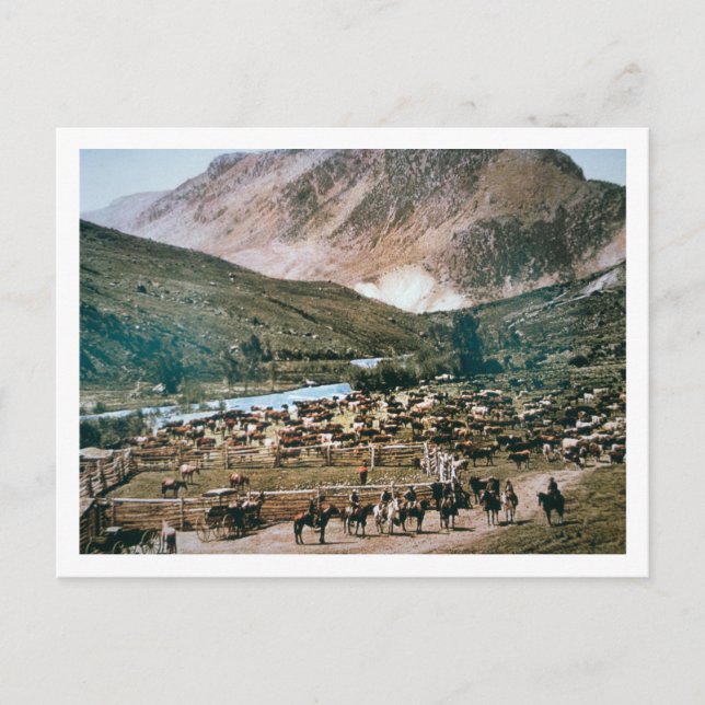 Cartão Postal Cattle Ranch, Colorado, 1899 (foto) (Frente)