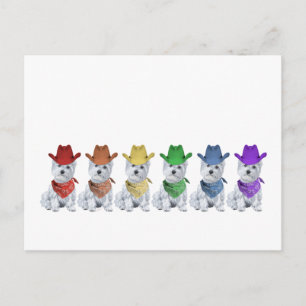 Cartão Postal Caubóis Westie Todos em uma Linha