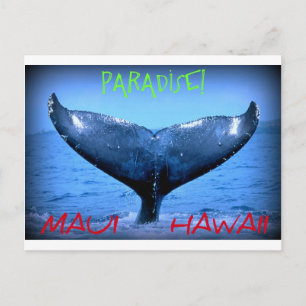 CARTÃO POSTAL CAUDA DE BALEIO PARADISE MAUI HAWAII