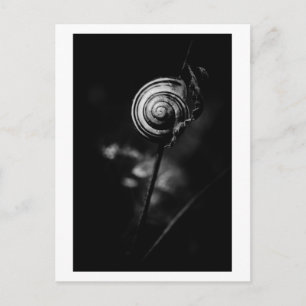 Cartão Postal cauda de caracol