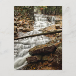 Cartão Postal Caudal florestal tranquila